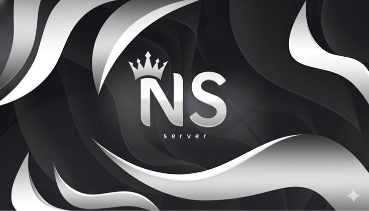 تصميم NS Server من فريق Vyrx